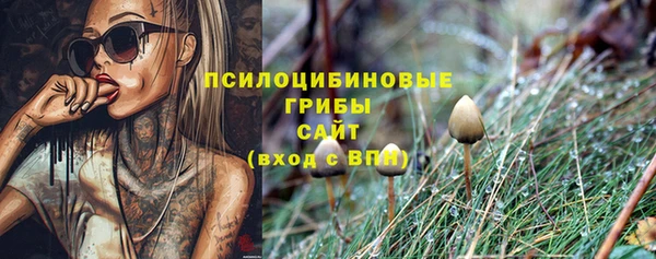 хмурый Алексеевка