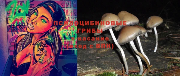 твердый Абаза