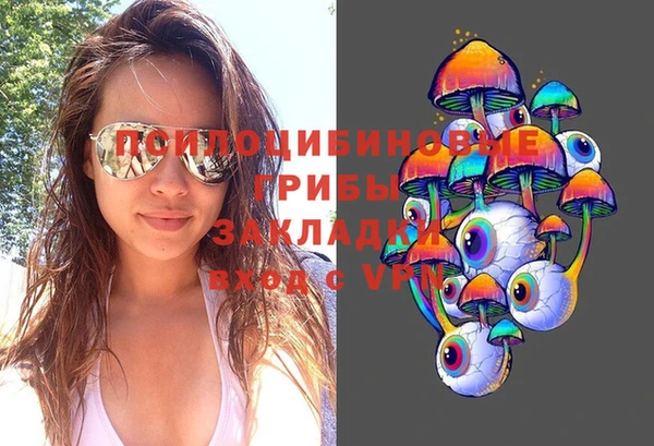 хмурый Алексеевка
