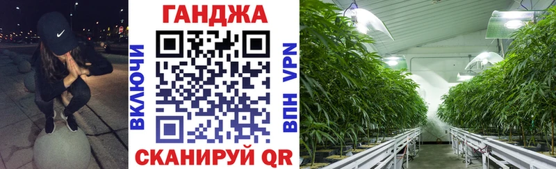 Каннабис OG Kush  Разумное 